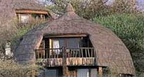 Serengeti Serena