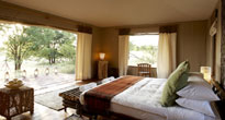 Sayari Camp