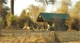 Mdonya Old River Camp