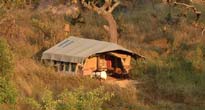 Serengeti Safari Camp