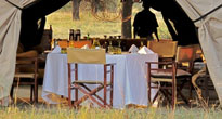Serian Serengeti