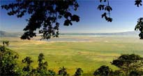 Ngorongoro Crater