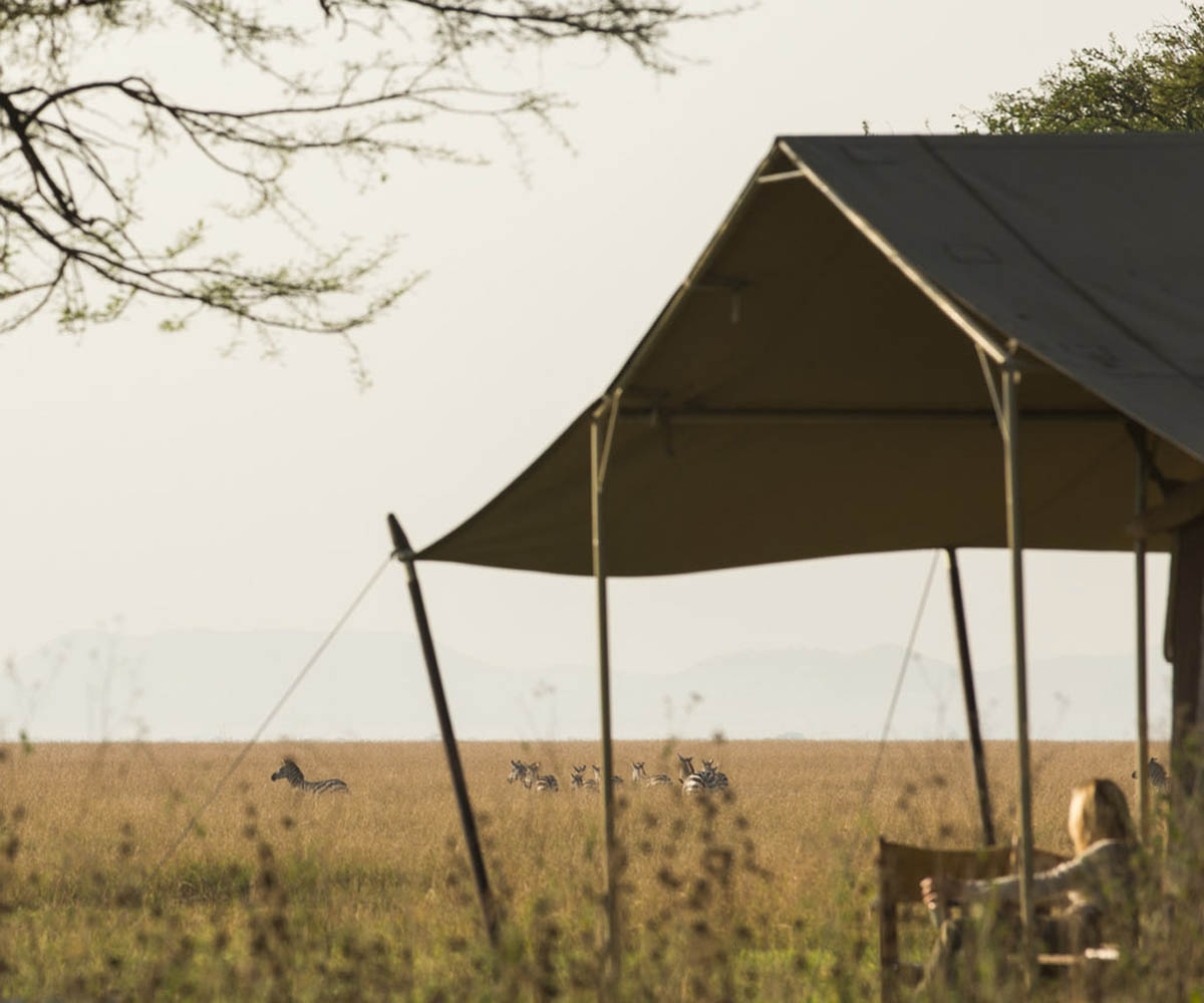 View from tent at Serengeti Safari Camp
