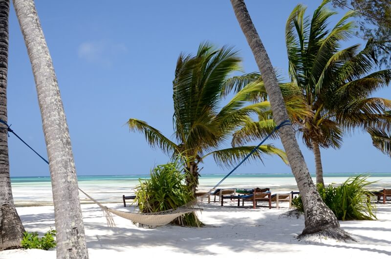 Beach hammock on Zanzibar