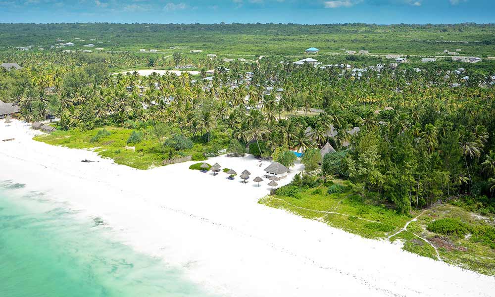 Beach and forest on Zanzibar