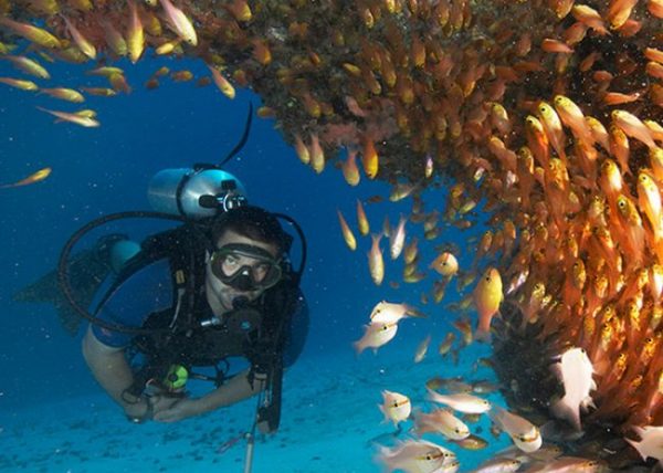 Diving and snorkelling in Zanzibar, Zanzibar Island, Tanzania, beach and bush holiday, Zanzibar honeymoon