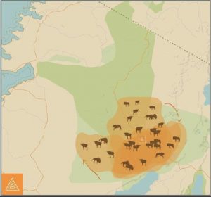 Migrating wildebeest herds animation in March
