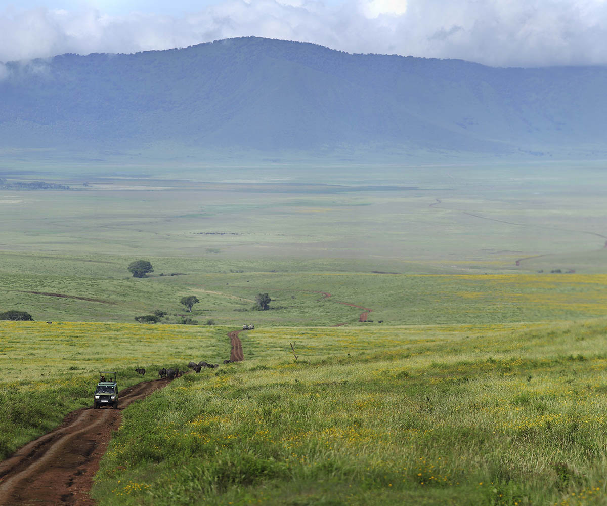 View into the Ngorongoro Crater