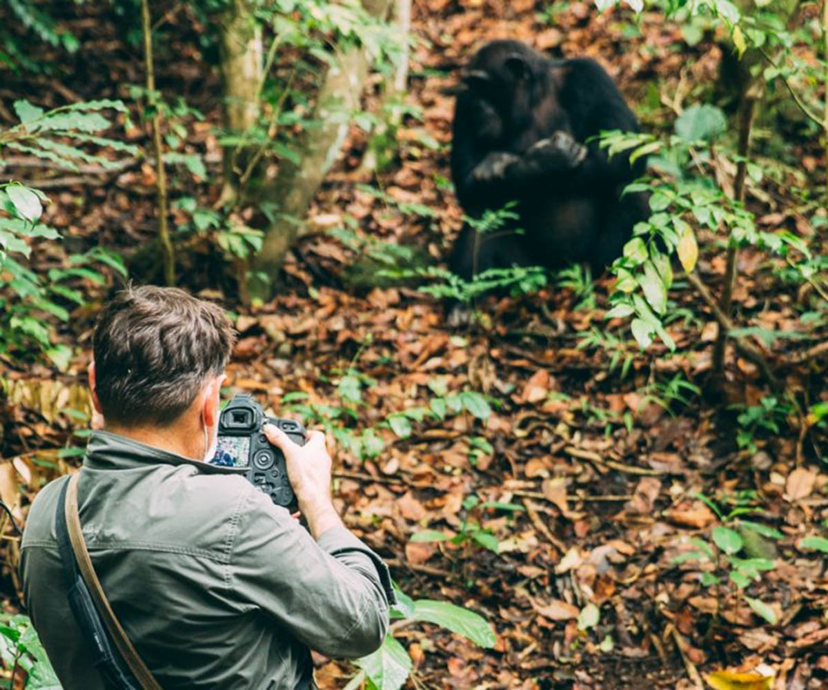 Photographing chimps in Mahale
