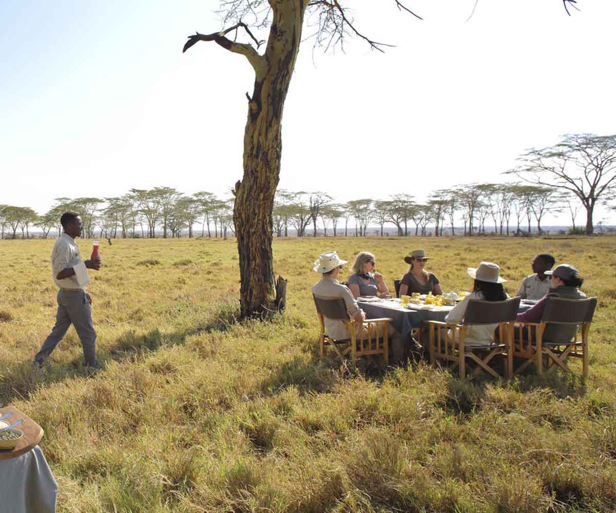 bush picnic in the Serengeti