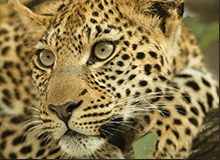 Southern Itineraries