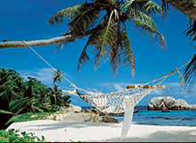 Families Itineraries