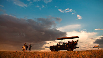 Tanzania Safaris