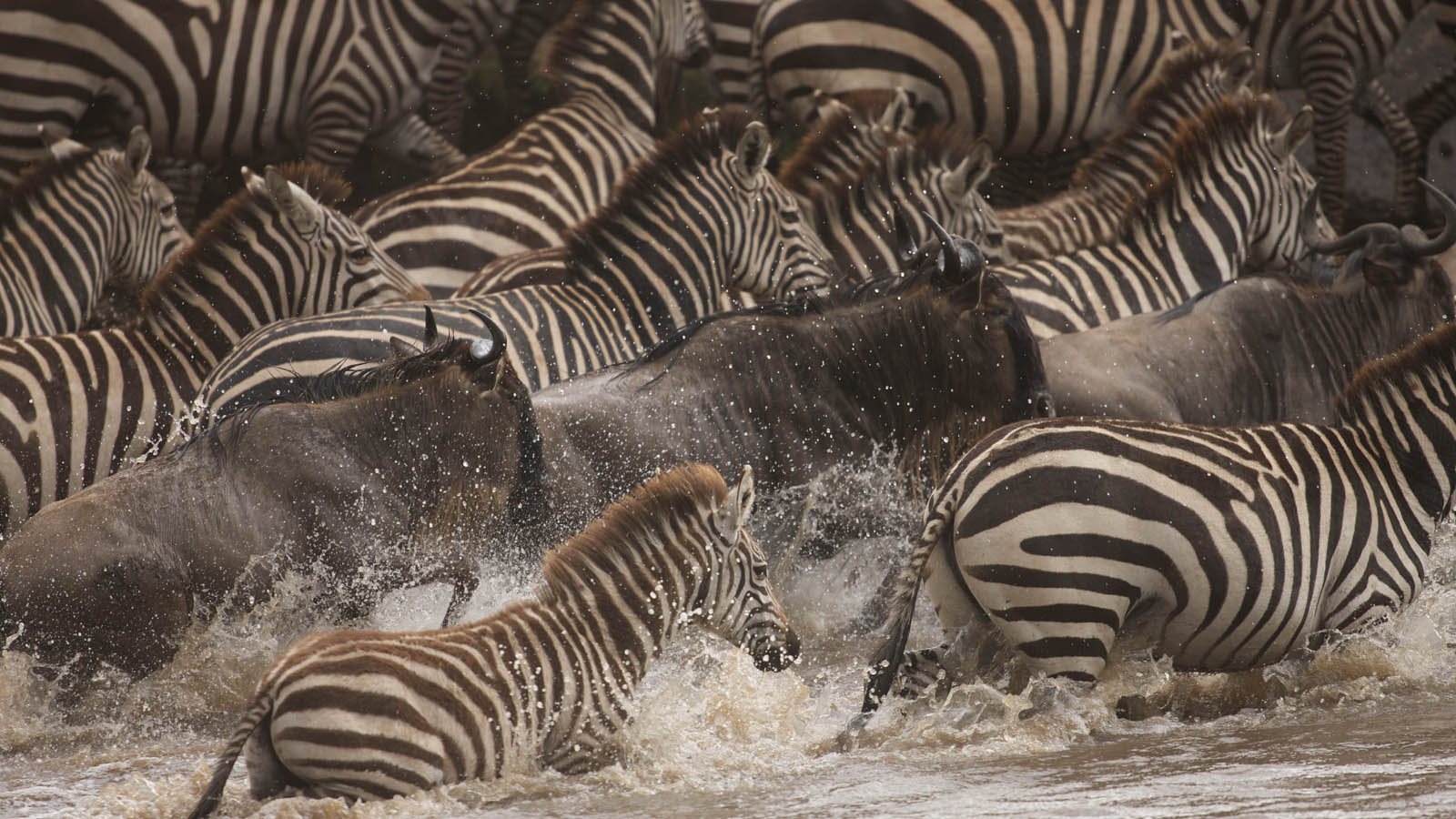 Tanzania Holiday