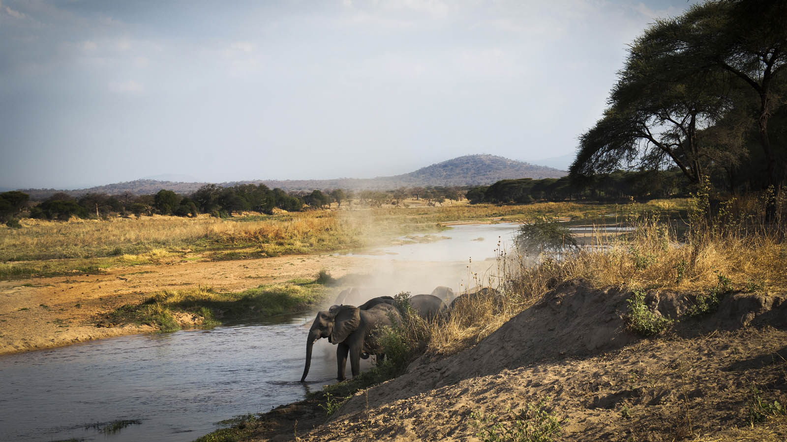 Tanzania Safari and beach