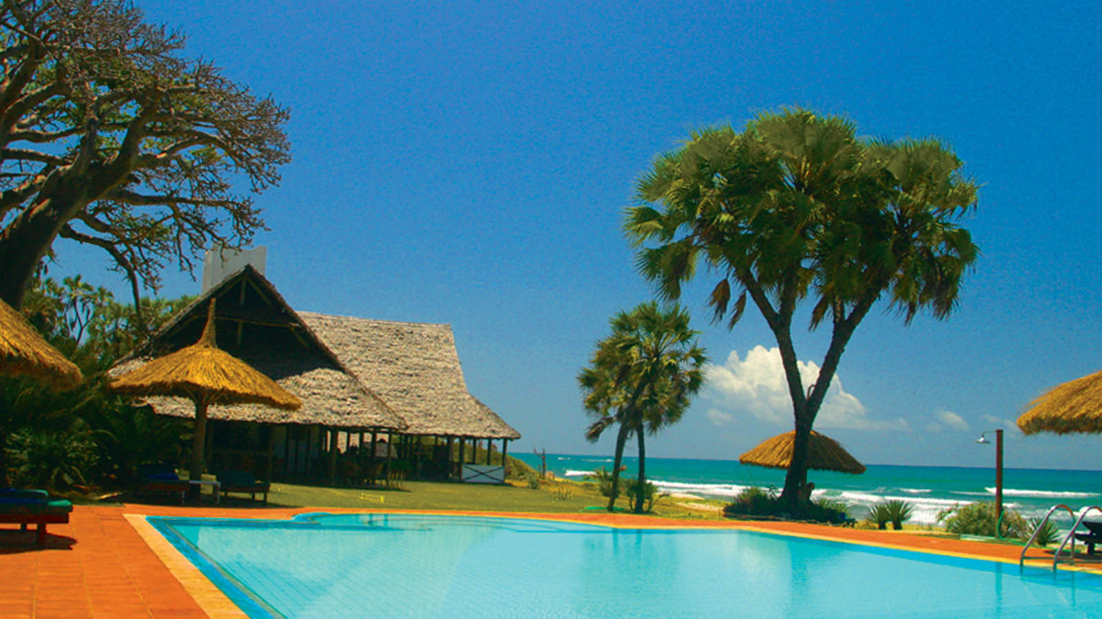 Tanzania Safari and beach