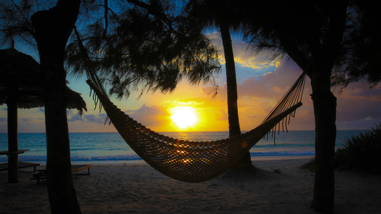 Tanzania Safari and beach