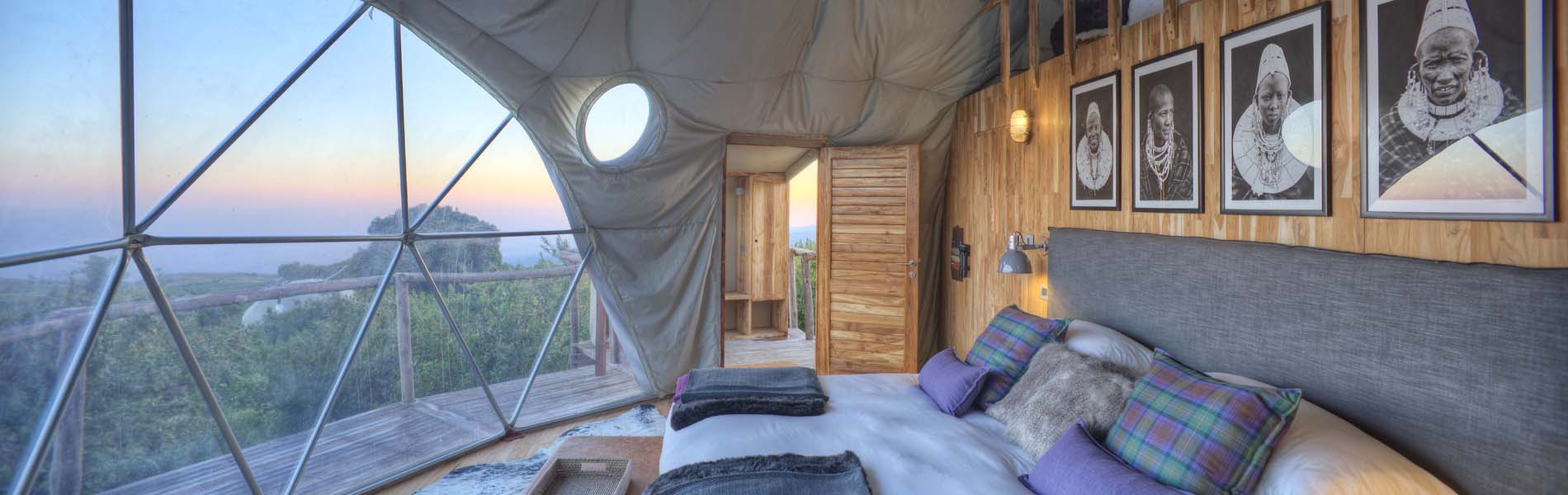 Tanzania Safari and beach