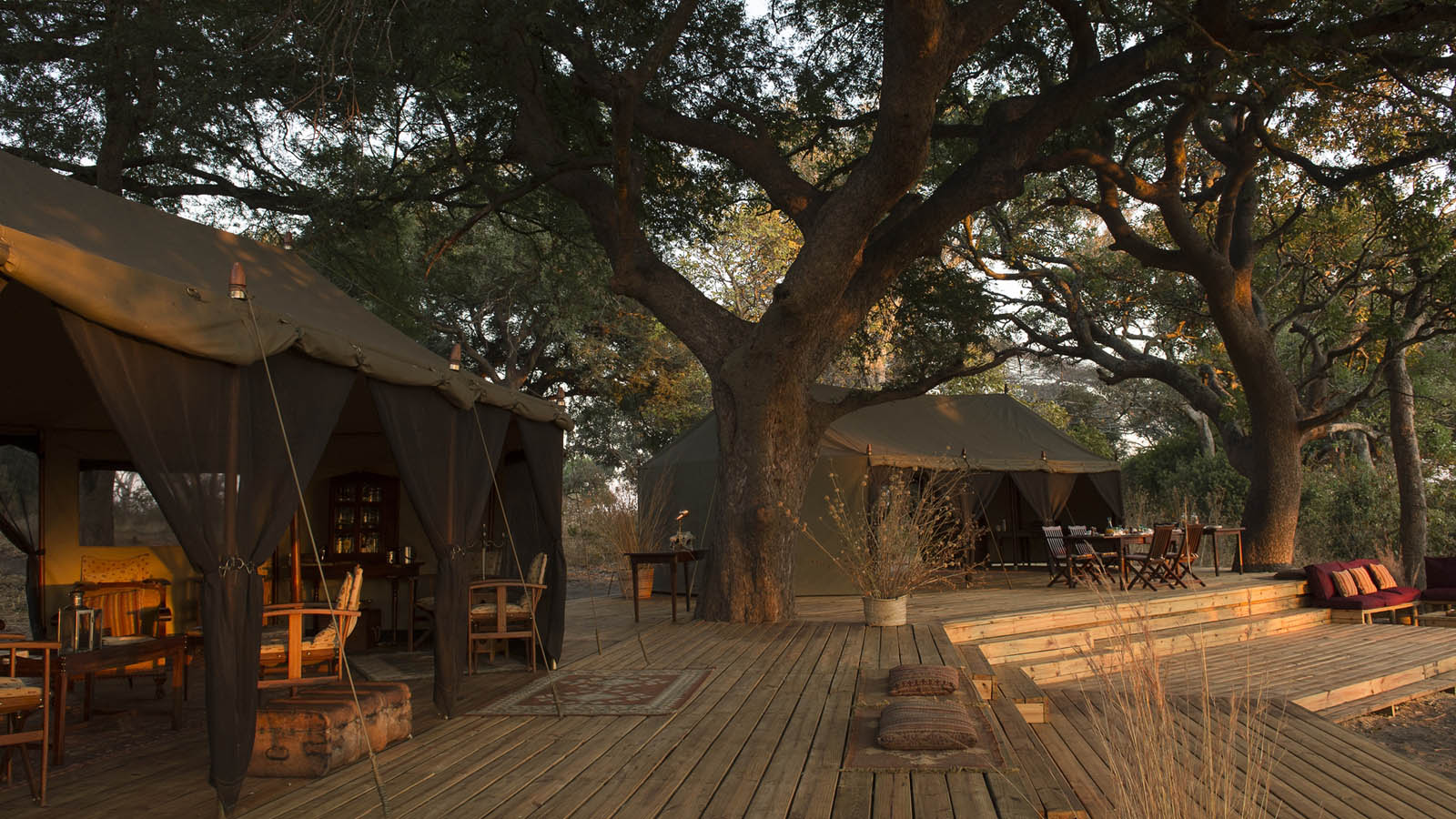 serengeti safari