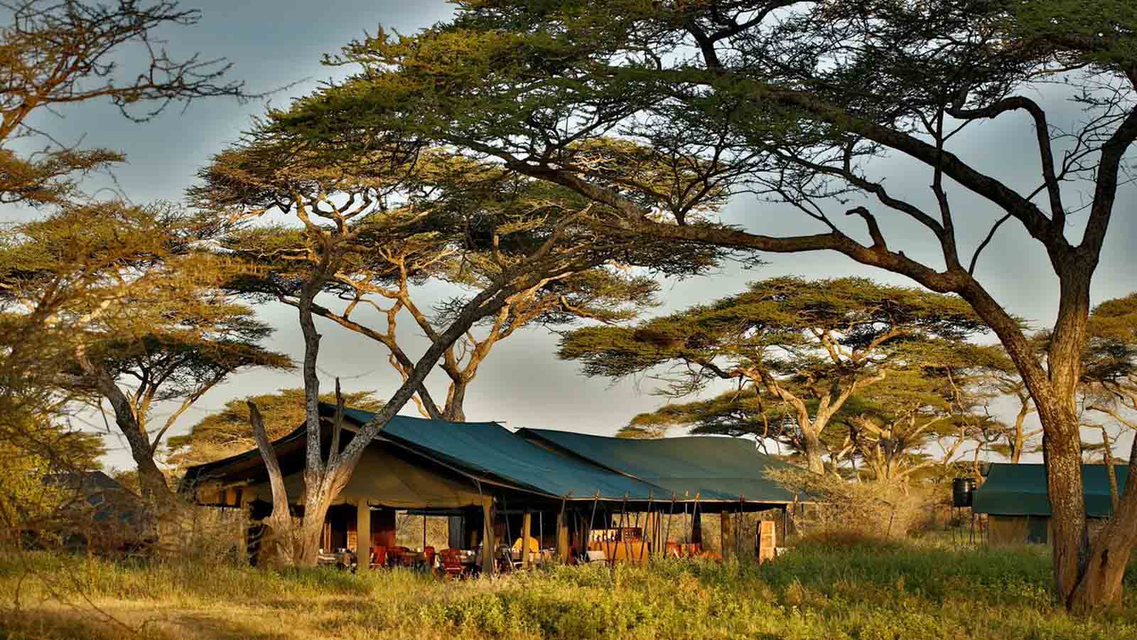 Tanzania Honeymoon