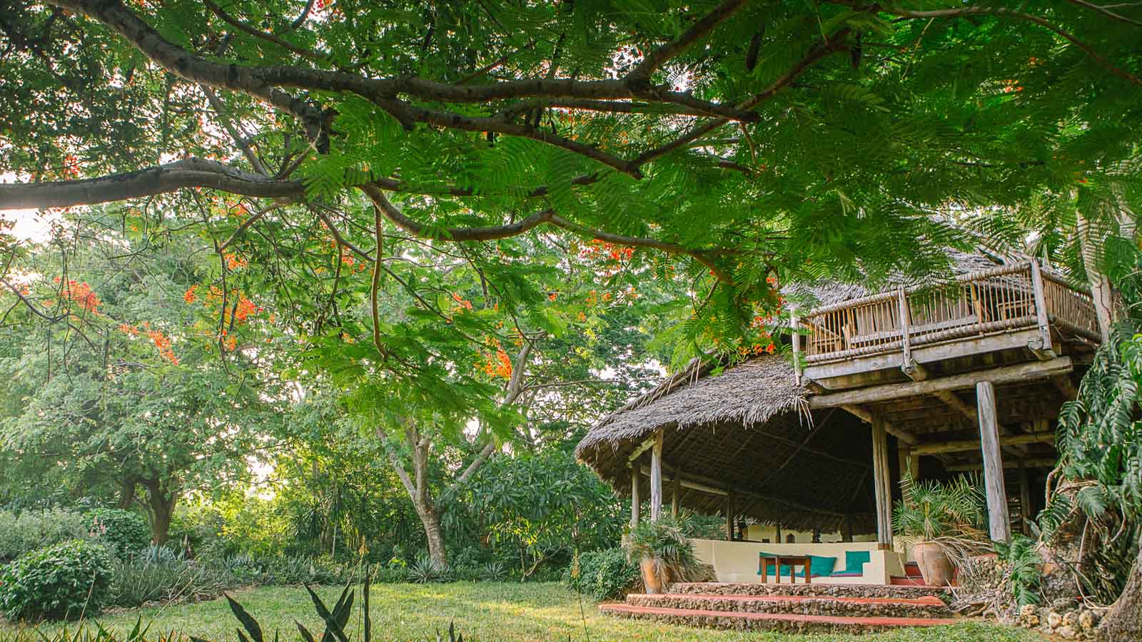 Tanzania Safari and beach