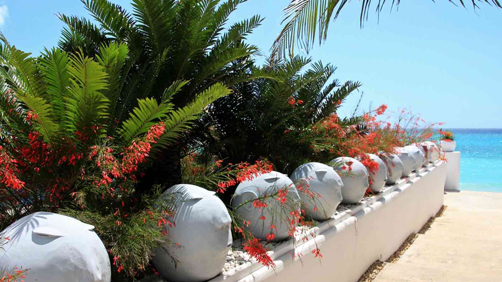 Tanzania Safari and beach