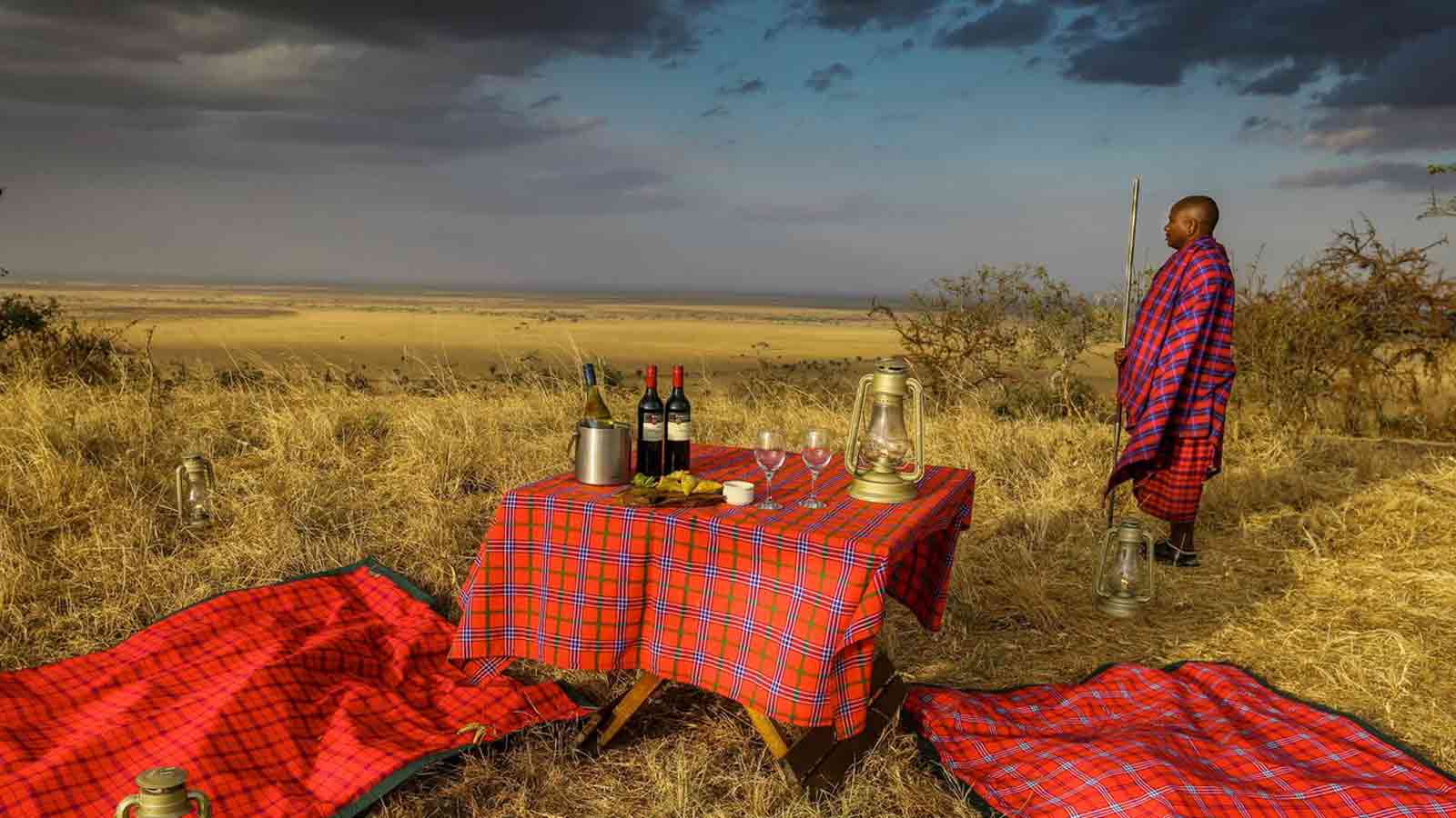 Tanzania Safari and beach