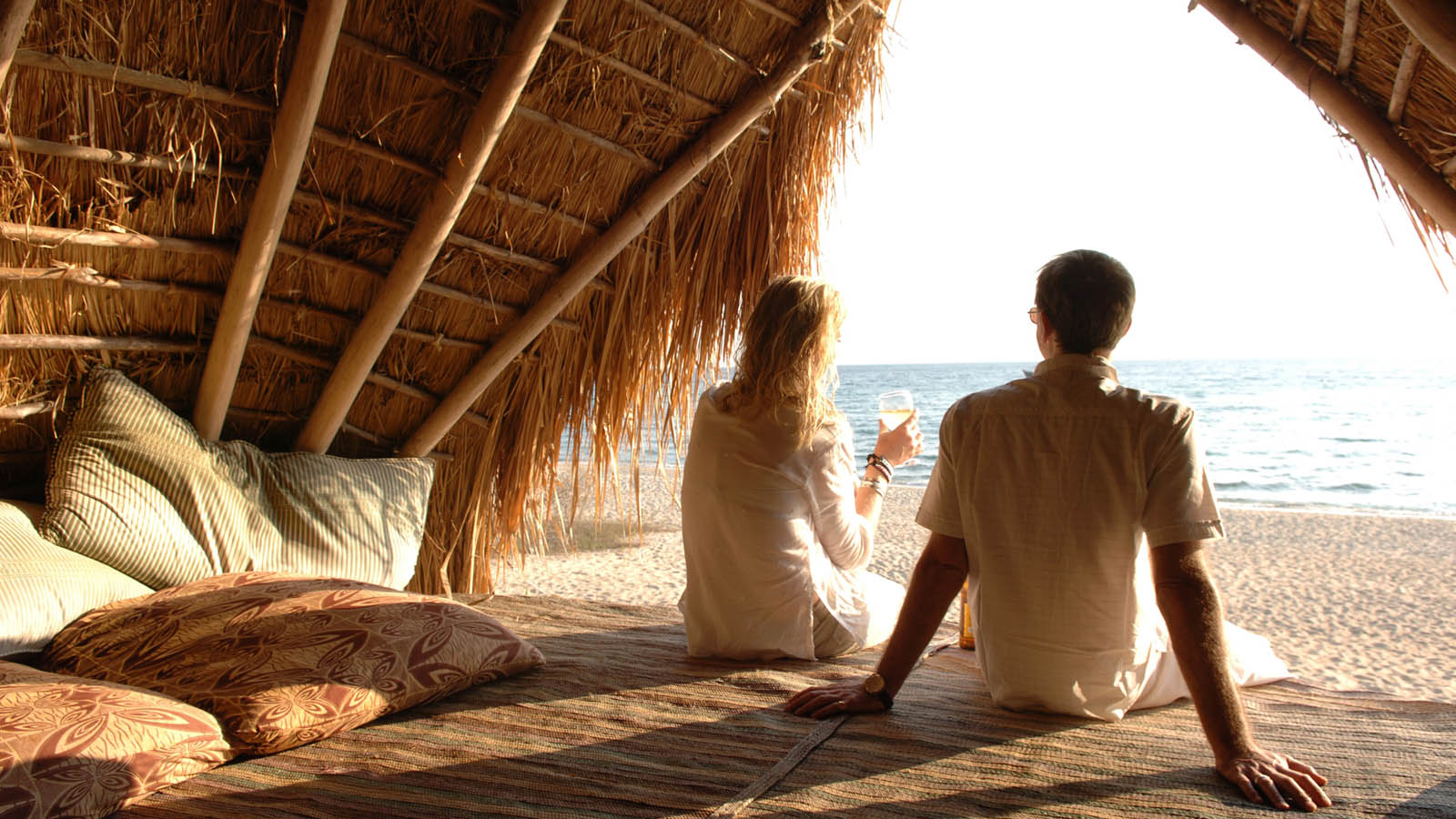 Tanzania Safari and beach