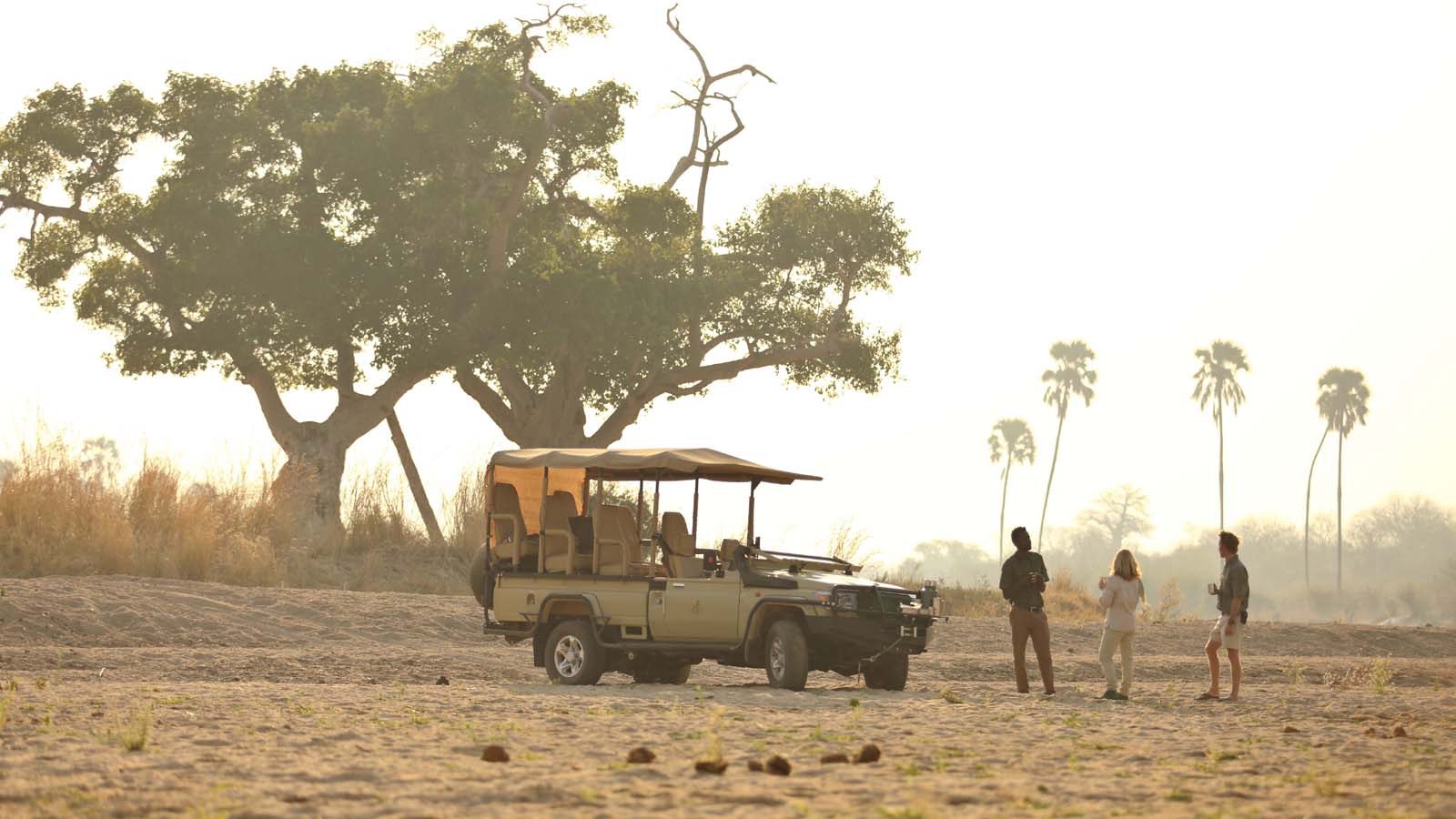 Tanzania Safari and beach