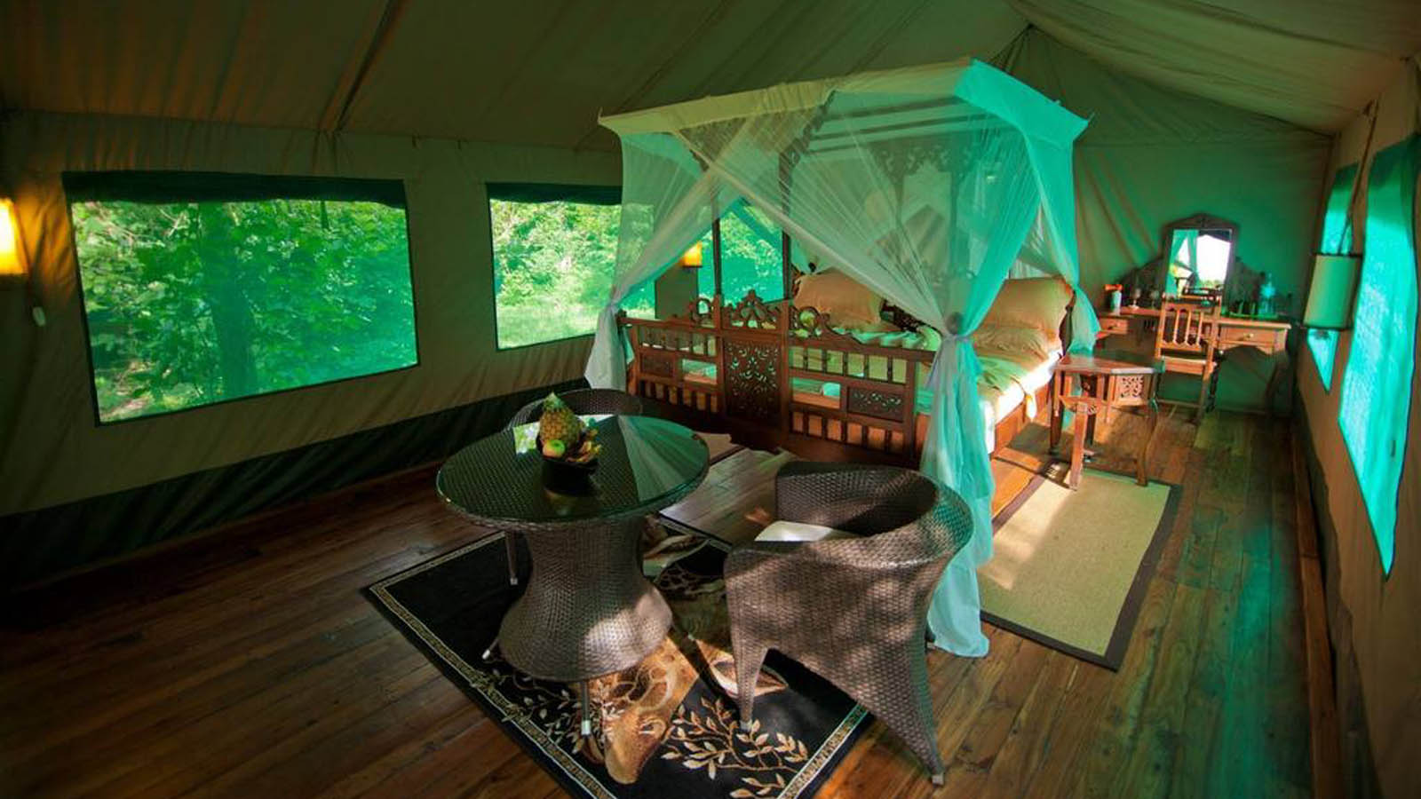 Tanzania Safari and beach