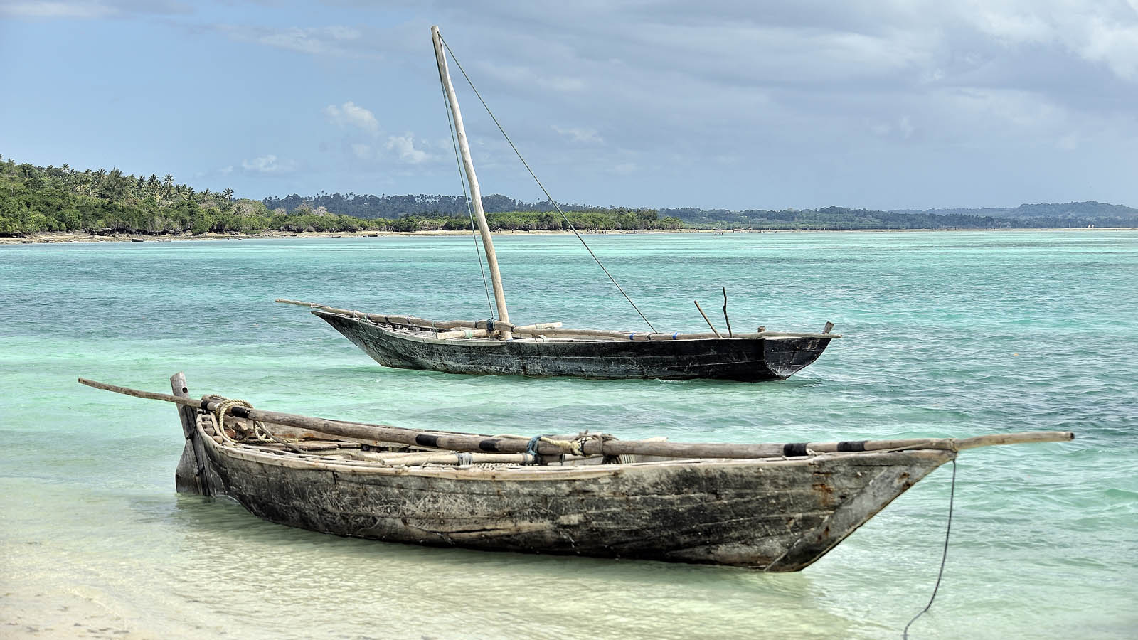 Tanzania Safari and beach