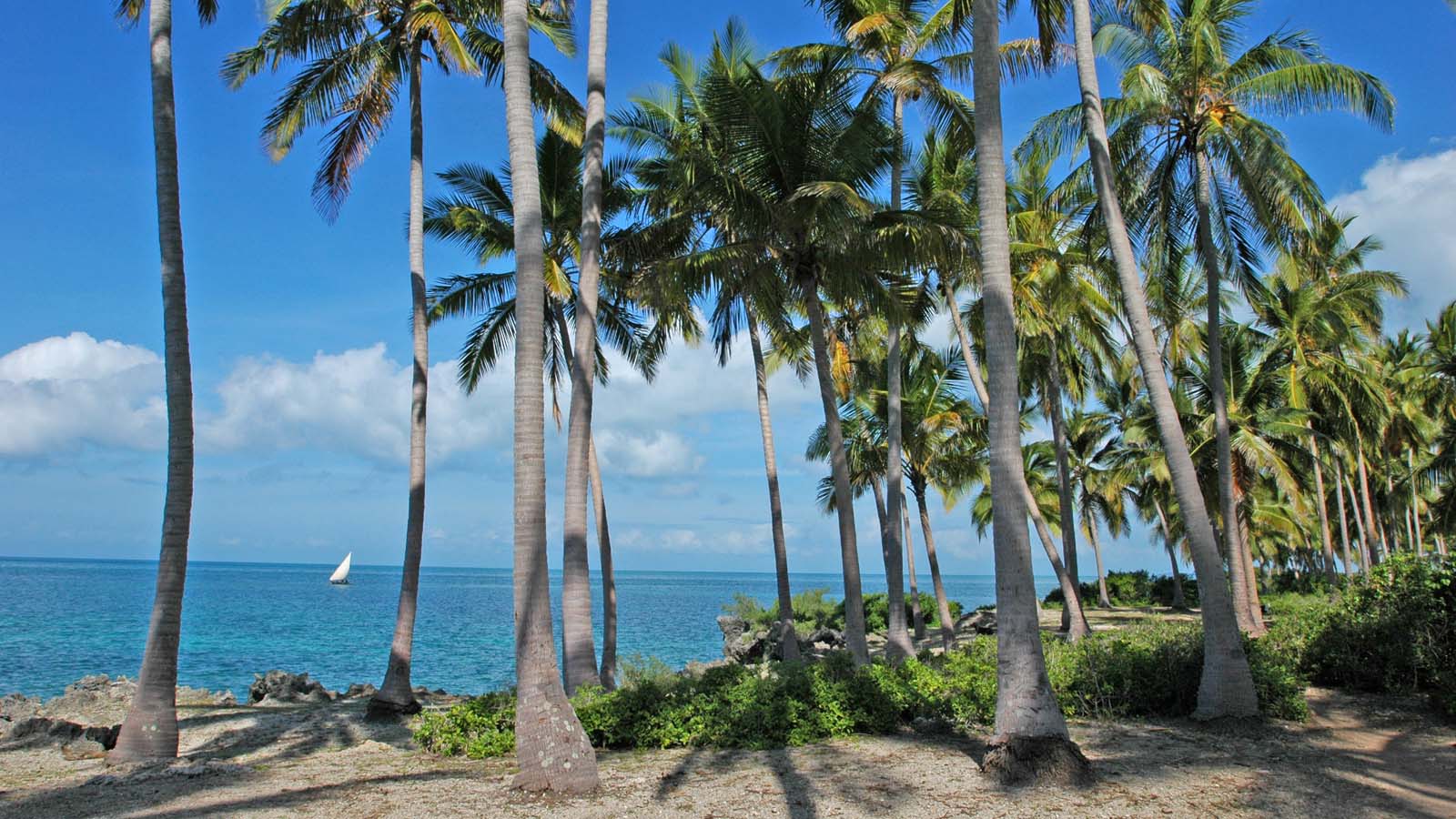 Tanzania Safari and beach