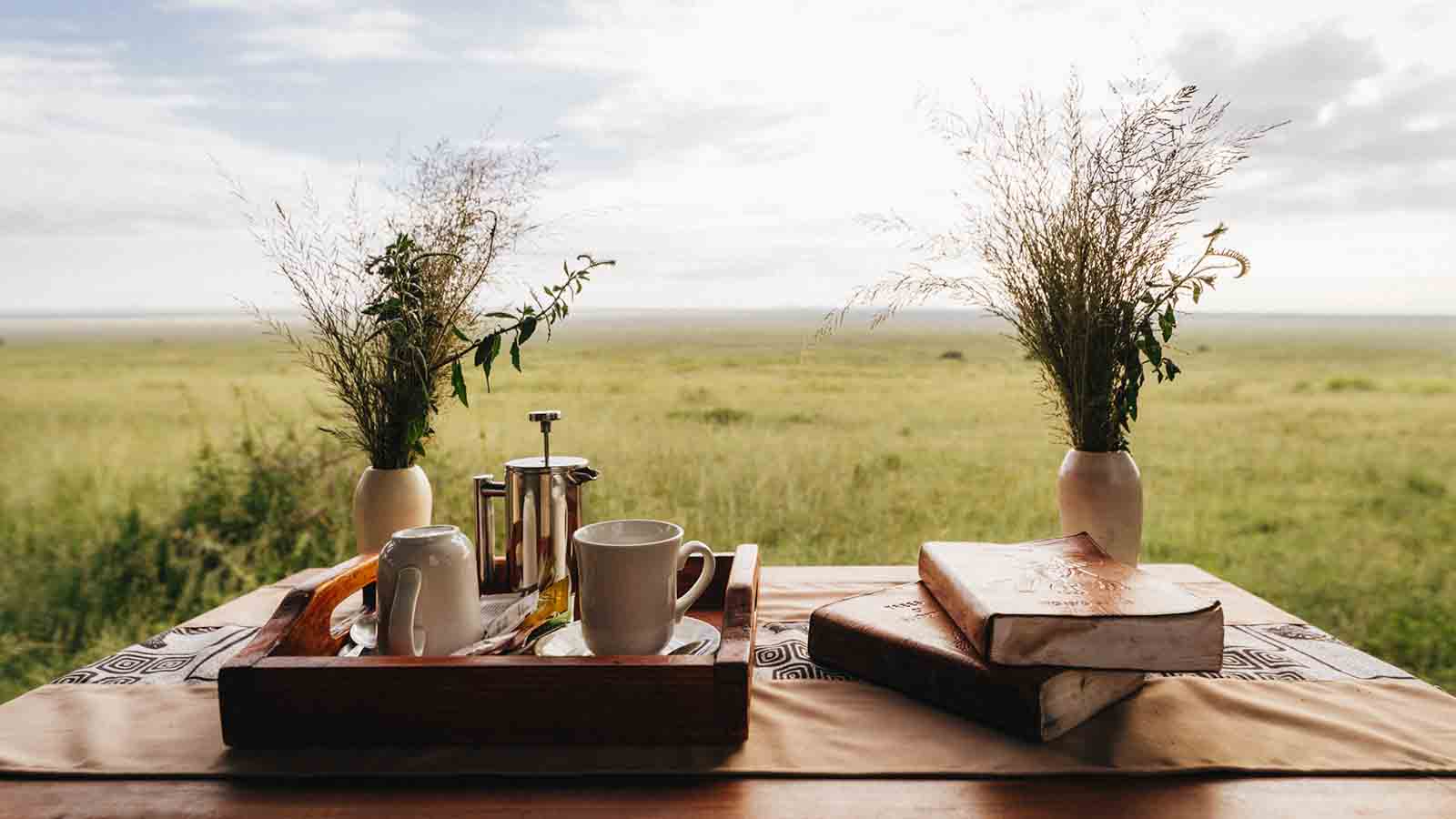 Tanzania Safari and beach