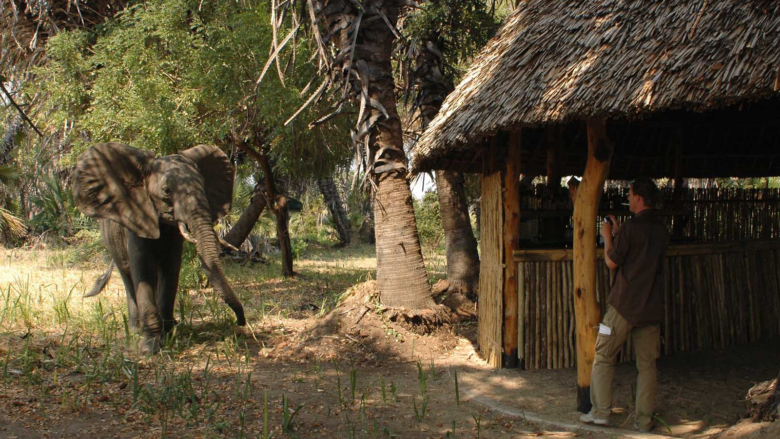 Tanzania Honeymoon