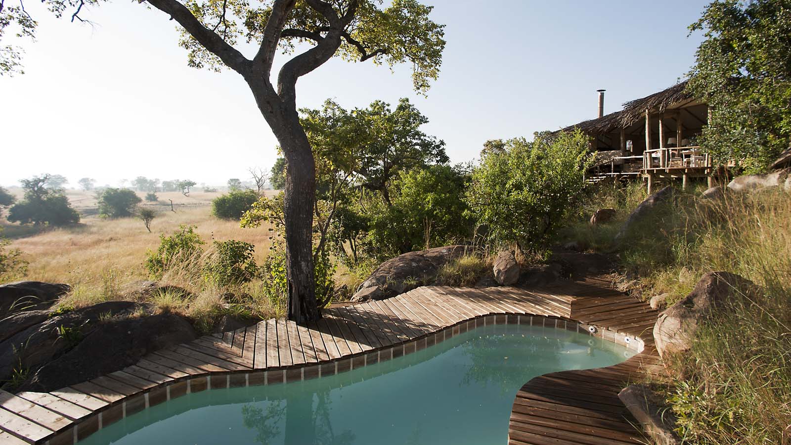 Tanzania Safari and beach