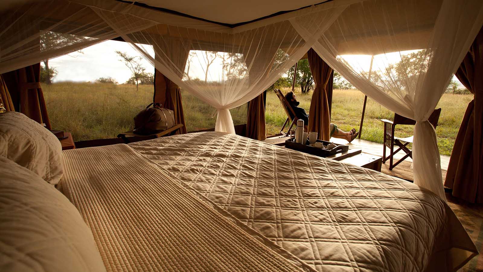 Tanzania Safari and beach