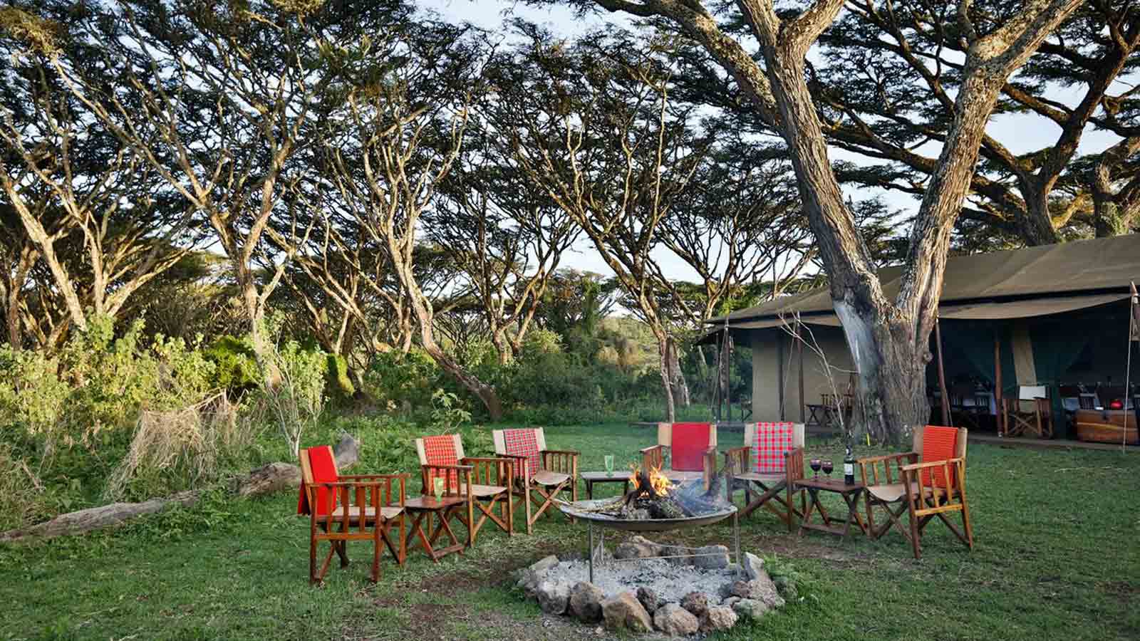 Tanzania Safari and beach