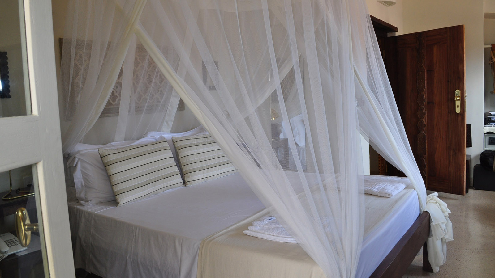 Tanzania Safari and beach