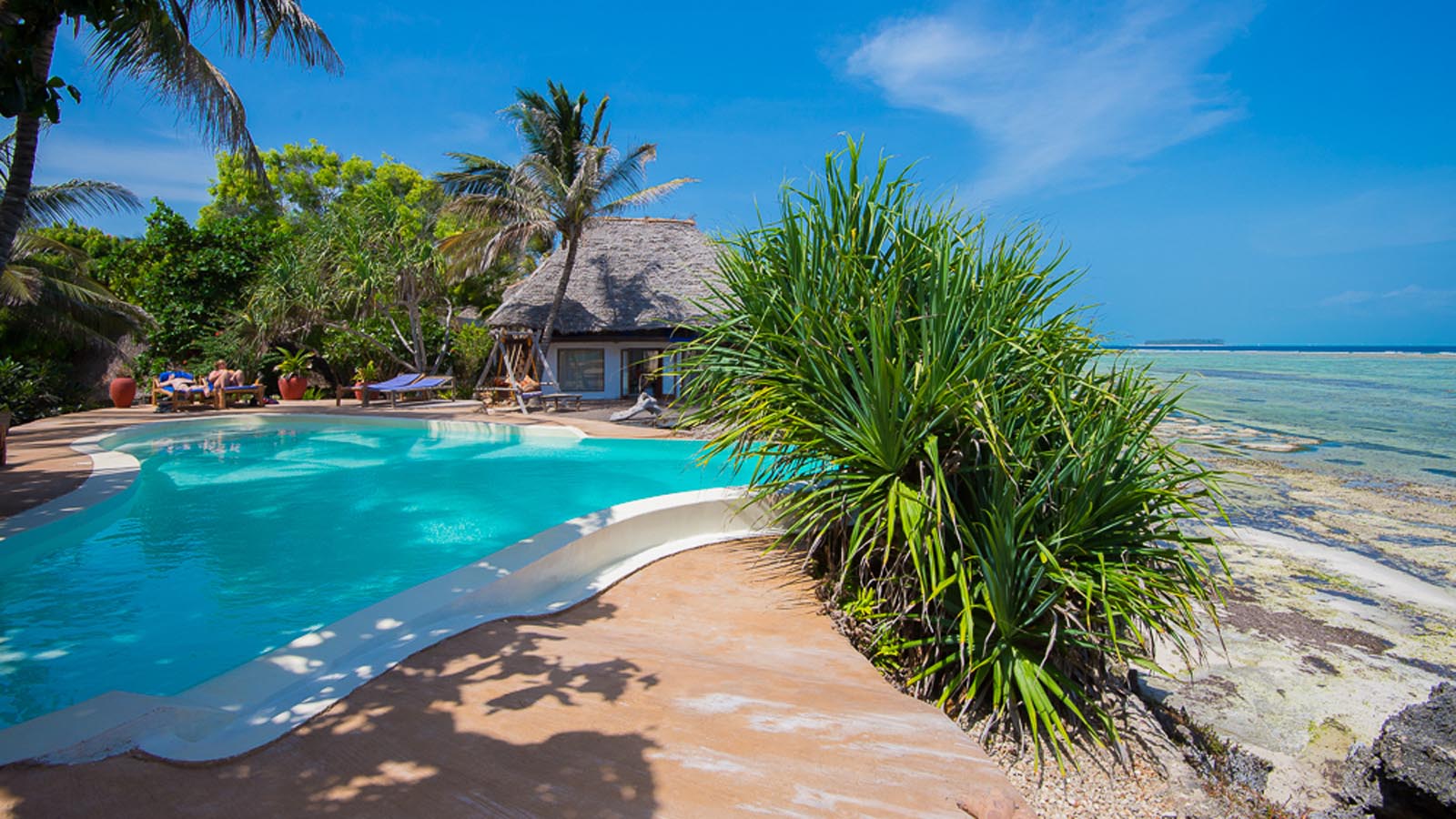 Tanzania Safari and beach