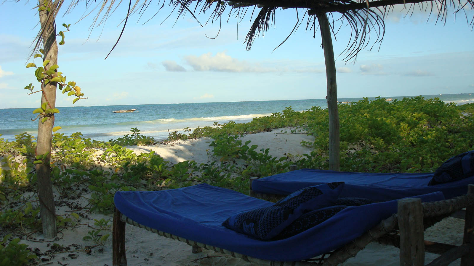 Tanzania Safari and beach