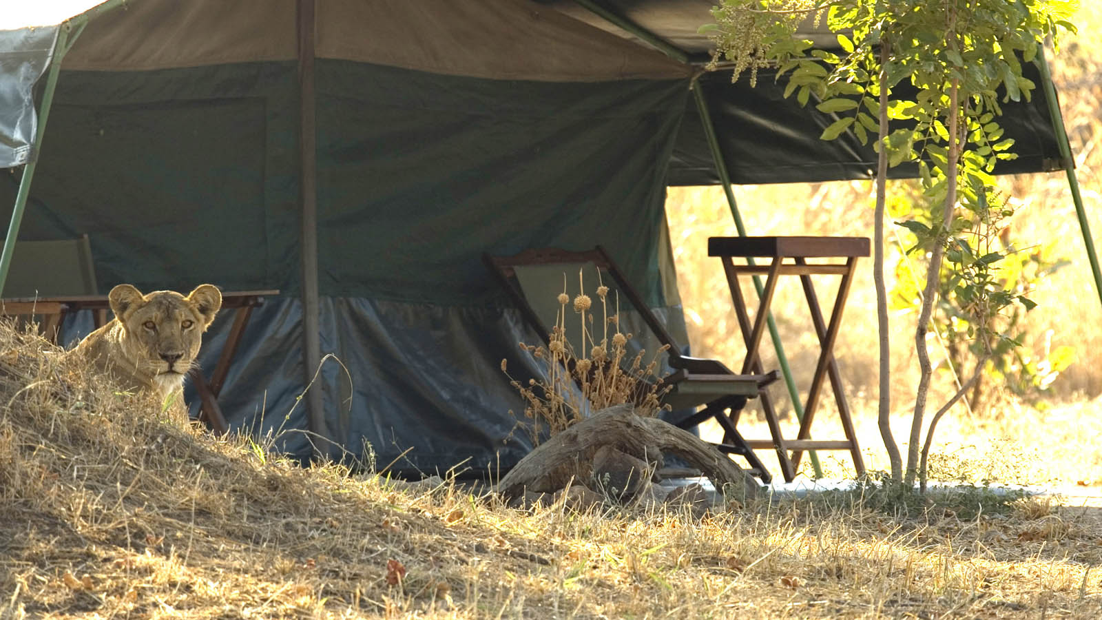 Tanzania Honeymoon