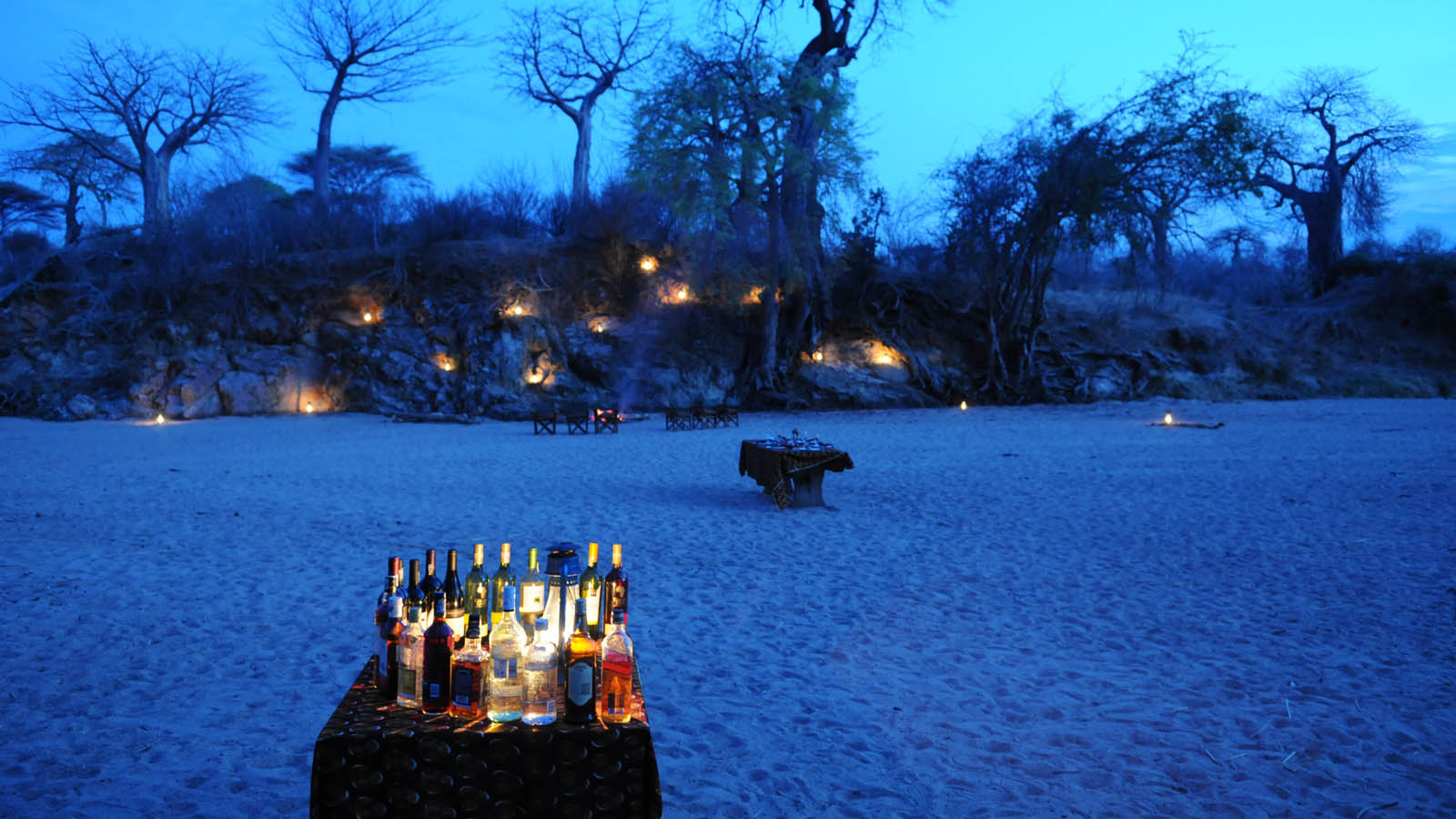 Tanzania Safari and beach