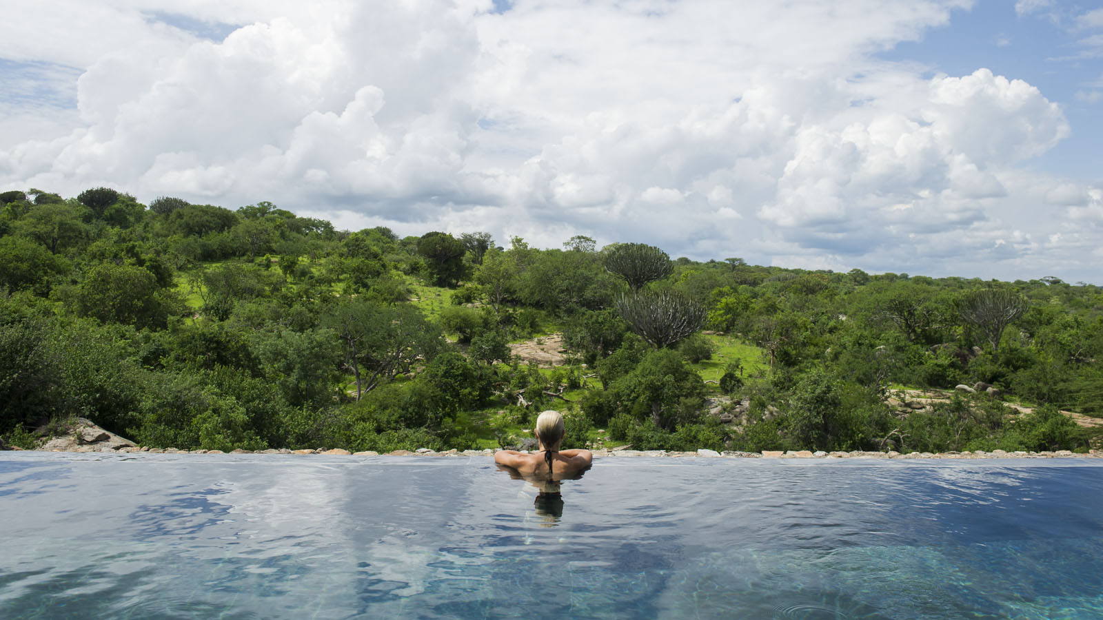 Tanzania Safari and beach