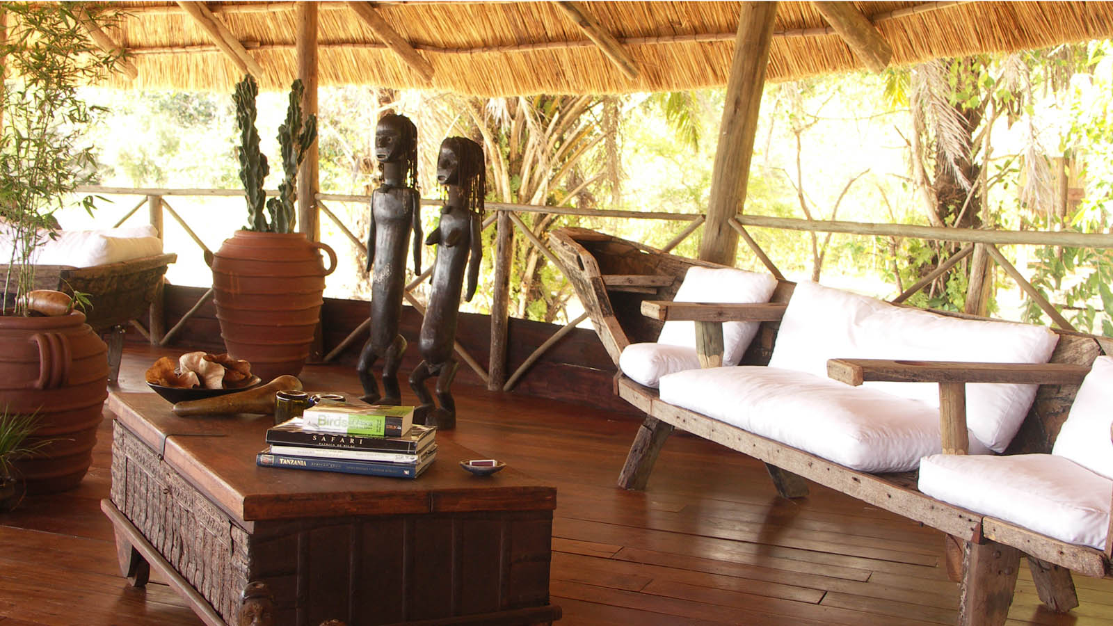 Tanzania Safari and beach