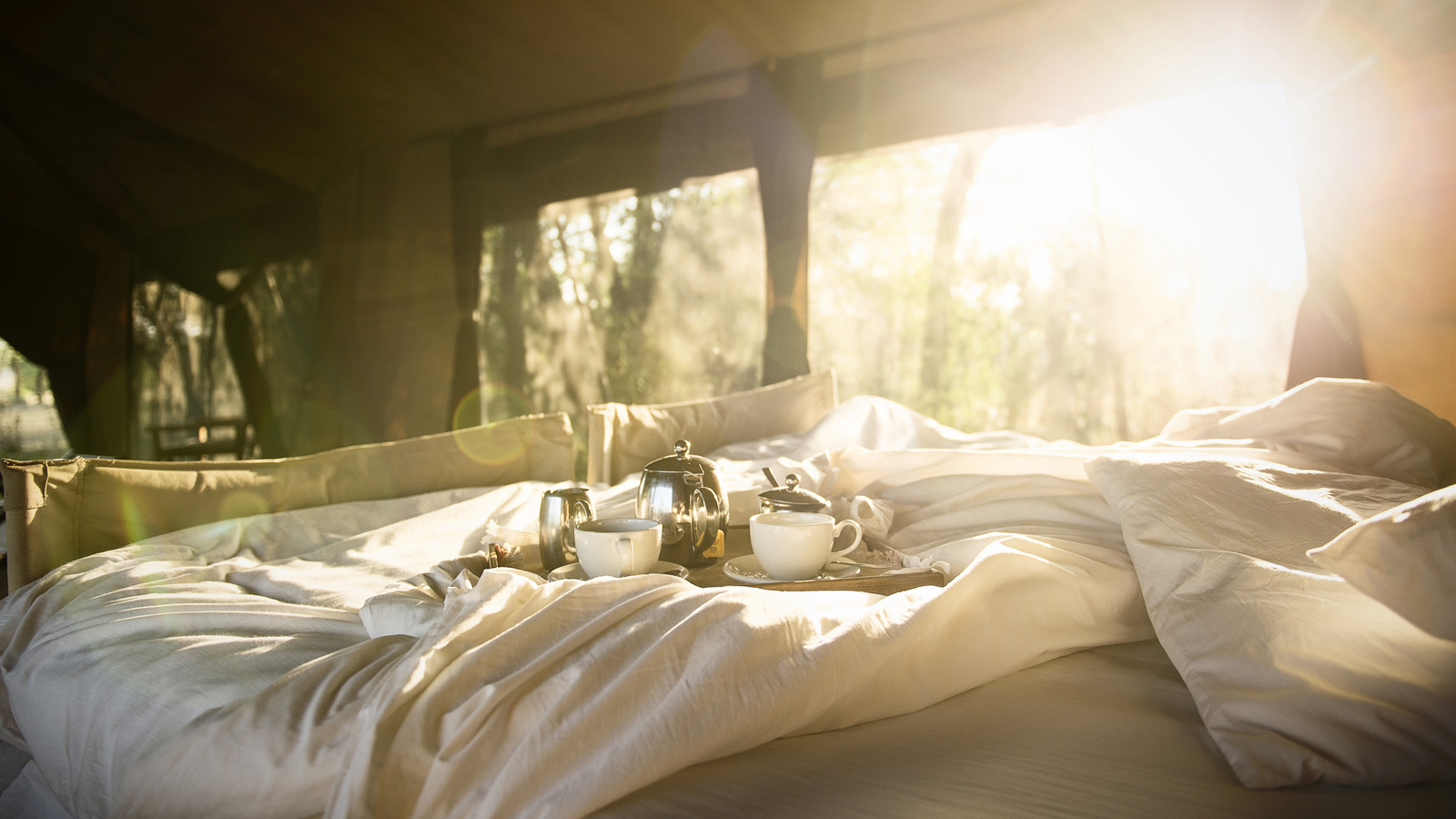 Tanzania Safari and beach