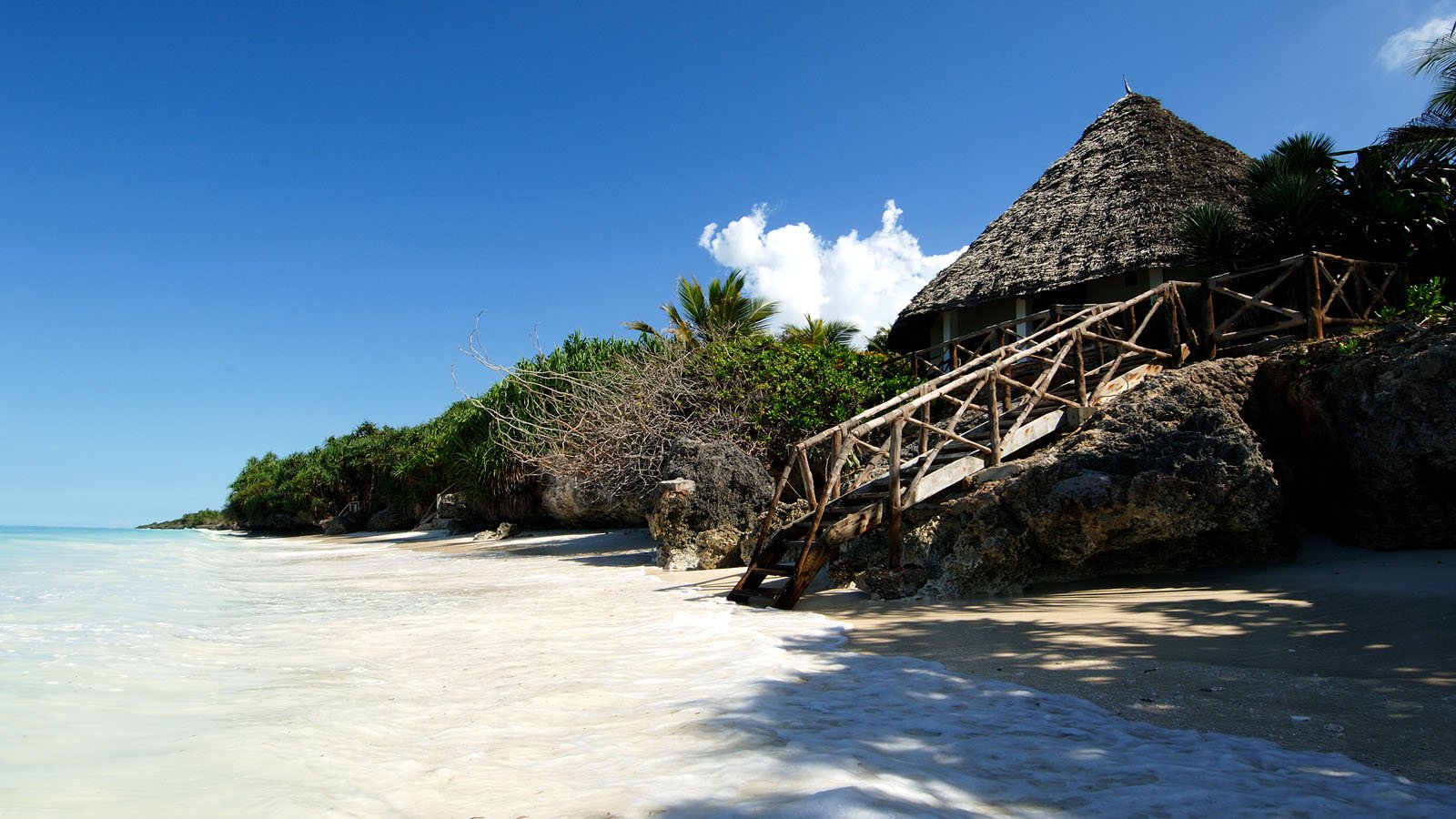Tanzania Safari and beach