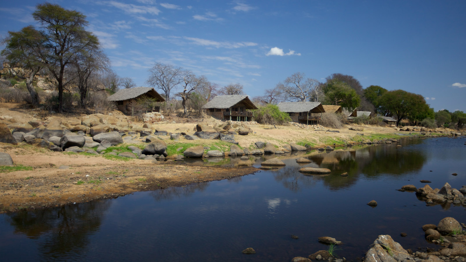 Tanzania Safari and beach