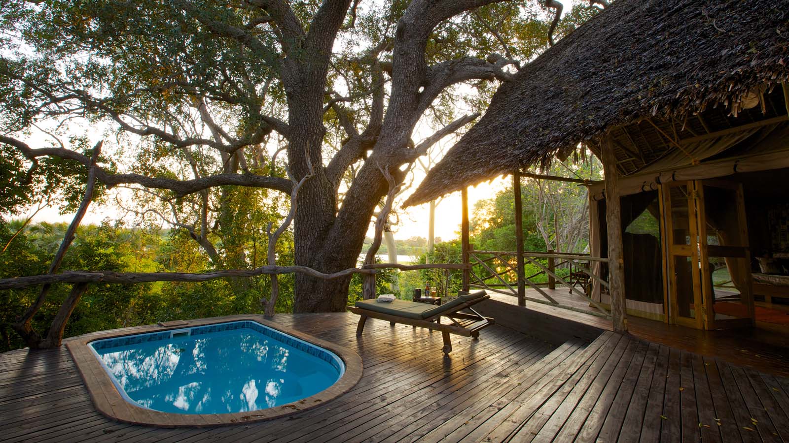 Tanzania Safari and beach