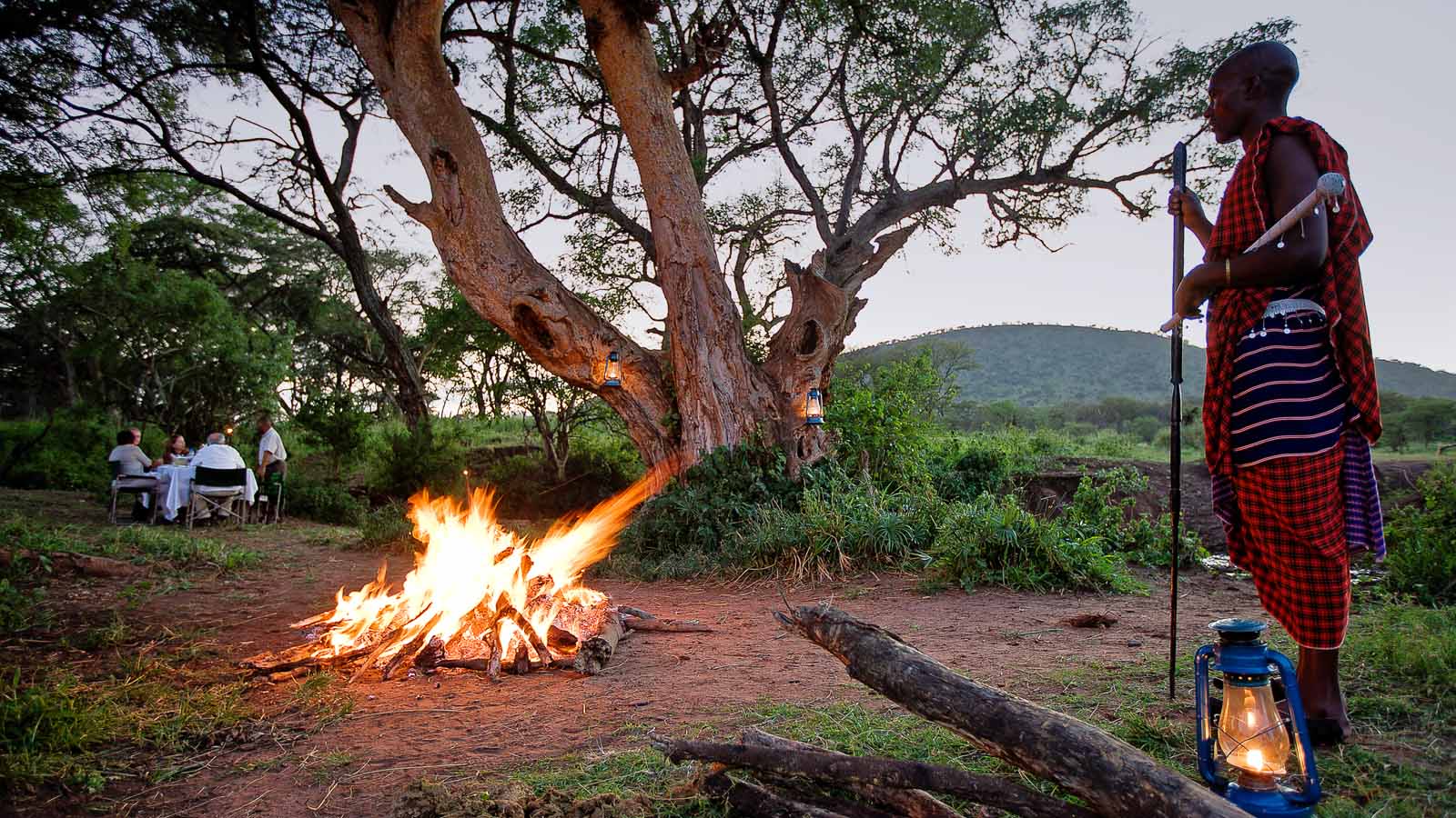 Tanzania Safari and beach