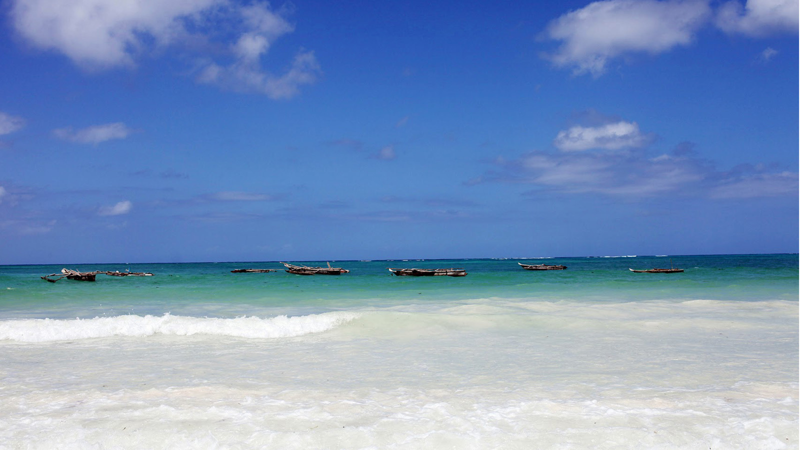 Tanzania Safari and beach